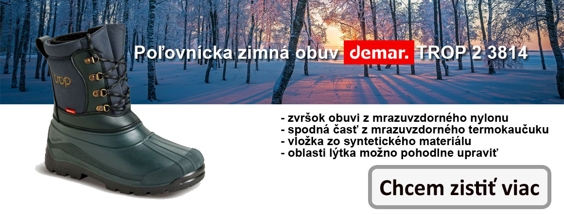 p_zima_2_sk